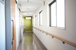 明るい廊下の様子