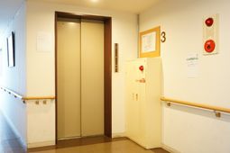 清潔感のある廊下とエレベーター