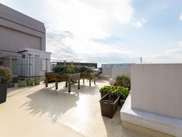 明るい屋上の緑化スペース