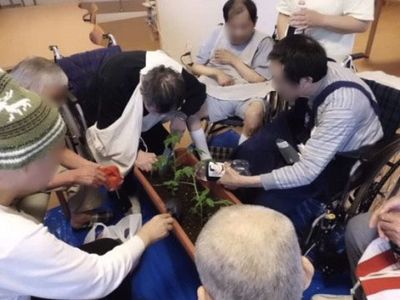 園芸活動を楽しむ人々