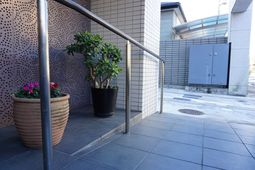 入口にある植栽と花