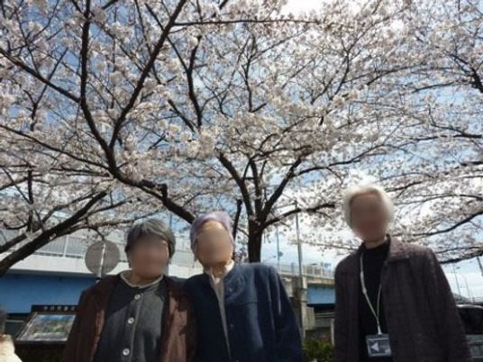 桜と人たちの屋外