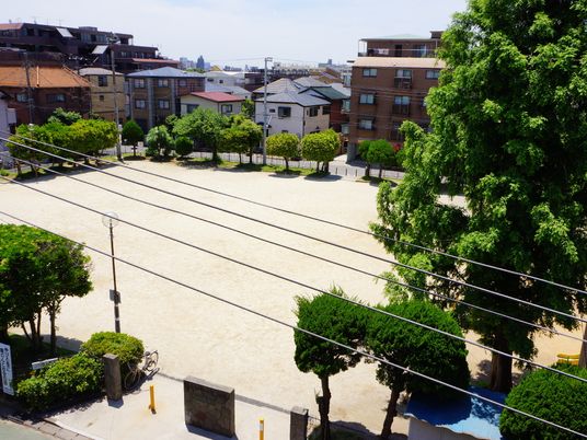 緑豊かな中庭の風景