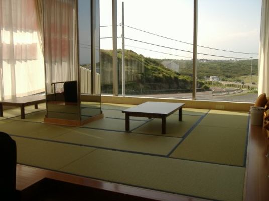 広々とした和室の景観