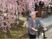 桜の下で輝く穏やかな日常