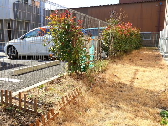 庭園の植栽と通路