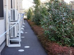 緑豊かな廊下