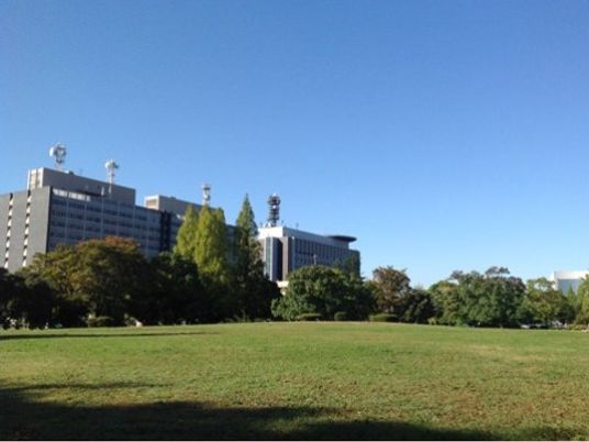 広々とした公園の風景