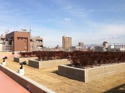 都市の景色を望む屋上庭園