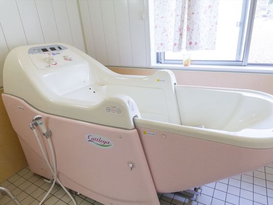 機能的なピンクの浴槽