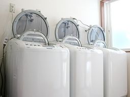 洗濯機が並ぶ様子