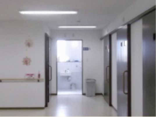 清潔な廊下の様子