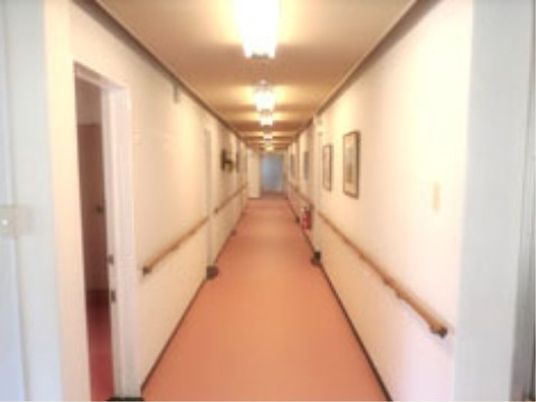 清潔感ある明るい廊下