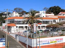 白い建物とヤシの木