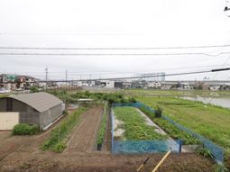 緑豊かな庭の風景