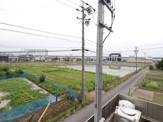広々とした野外の風景