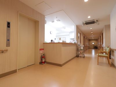 清潔な廊下の一部分