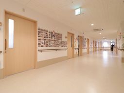 清潔な廊下と壁のアート