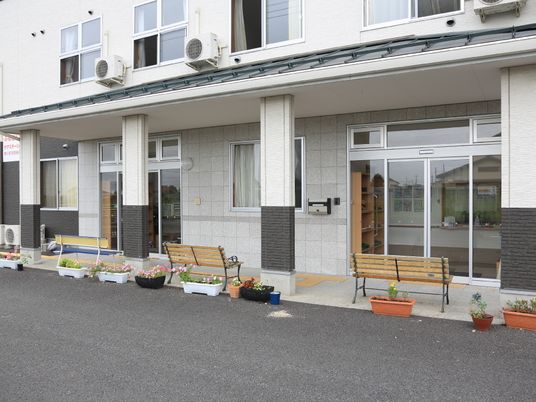 エントランス前のベンチと植物