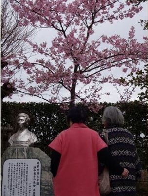 桜木立と銅像前の人々