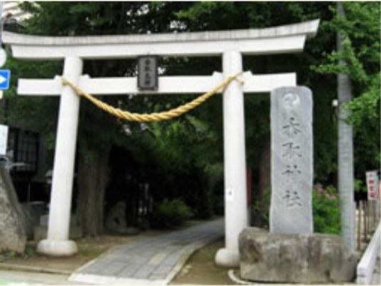 自然に囲まれた神社前