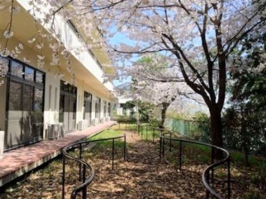 桜と施設の中庭