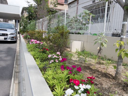 色鮮やかな花壇の景観