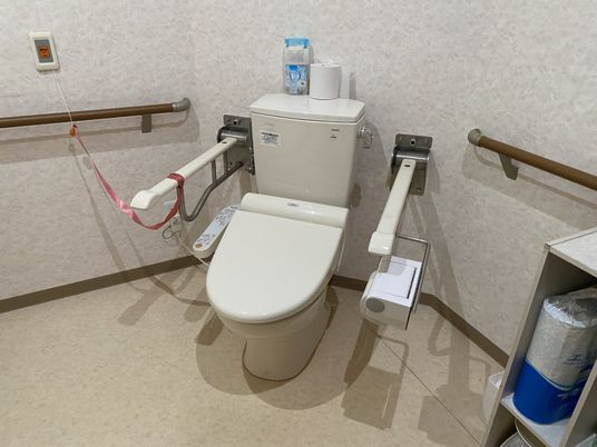 手すり付きトイレ