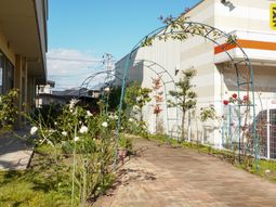 花が飾る静かな中庭