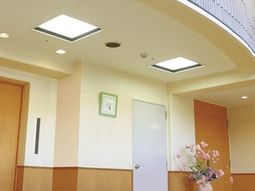 明るい廊下の一角