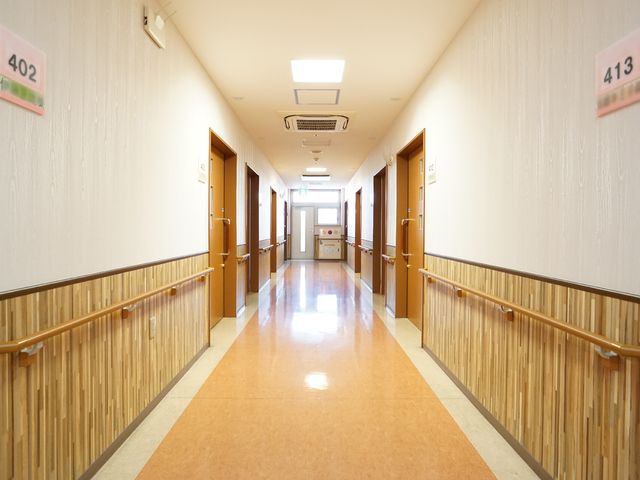 明るい廊下と部屋番号 廊下 ゆったりとした廊下は清潔感があり、細部まで行き届いた手入れが感じられます。