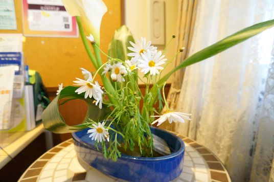白い花のある風景
