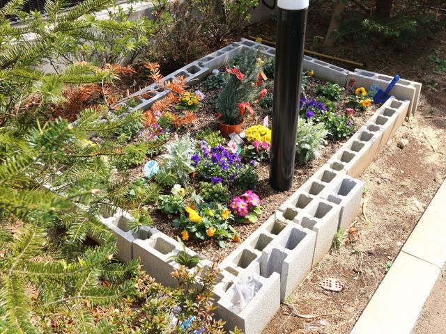カラフルな花壇中庭 花壇 様々な種類の花々が手入れされた、心を和ませる中庭スペース。季節の移ろいを感じながら、穏やかな時間を過ごすことができます。