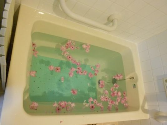 桜吹雪の入浴風景