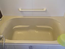 手すり付きの清潔な浴室