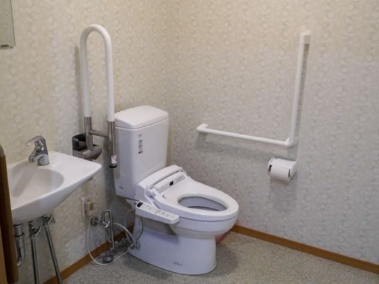 手すり付トイレの内観
