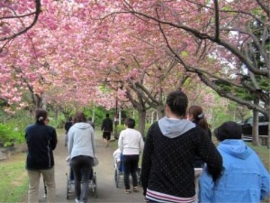 桜並木と散策する人々