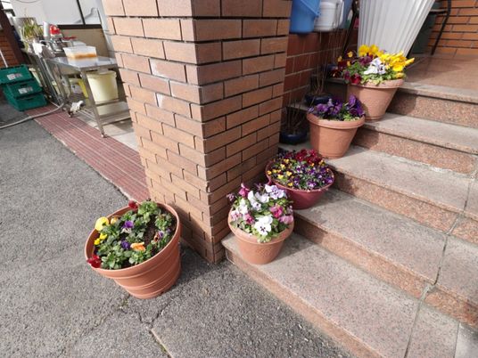 鮮やかな花と階段
