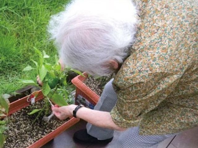 植物の手入れをする人 プランター 緑の中で植物に触れ、穏やかな時間を過ごす様子が伺えます。
