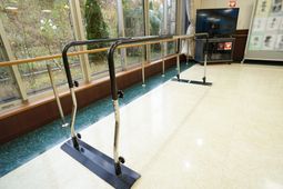 歩行訓練用の手すり