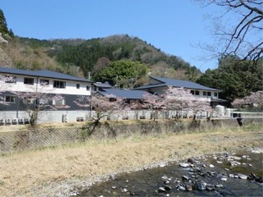 桜並木と川のほとりの建物