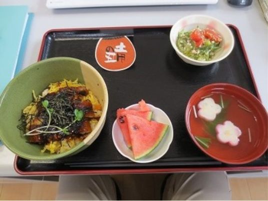 彩り豊かな食事内容