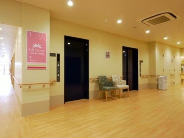 清潔な廊下と扉