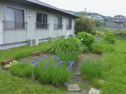 庭が見える施設外観