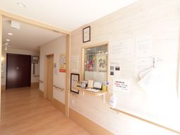 明るい廊下の掲示物