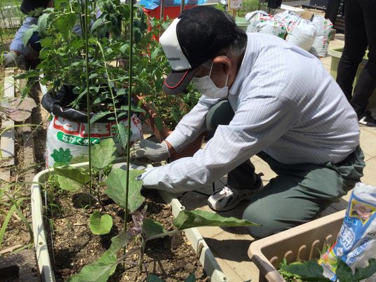 家庭菜園作業中の庭