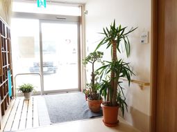 明るい入口と観葉植物