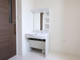 洗面台と鏡のある部屋