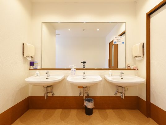 清潔な洗面台と鏡