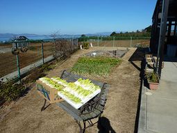 青空と緑の空間